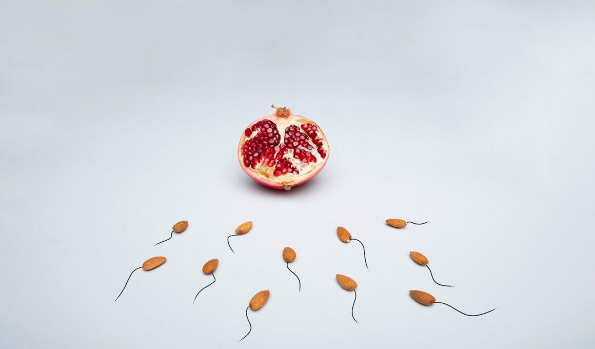 red fruit with white background