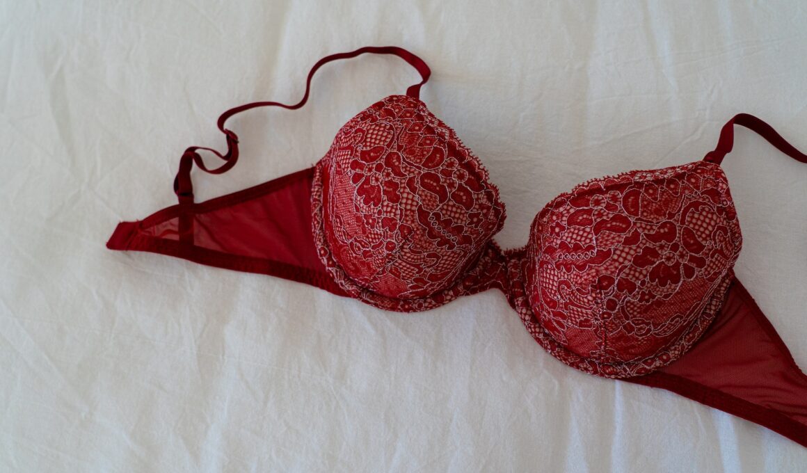 Red Brassiere on White Textile