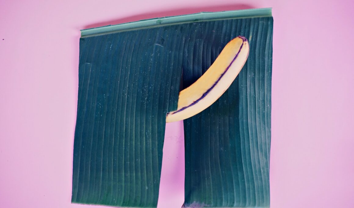 Yellow Banana on Purple Background