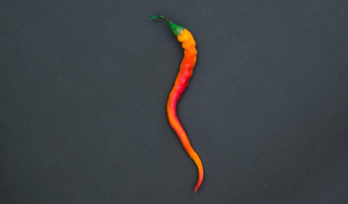 orange and green chili pepper