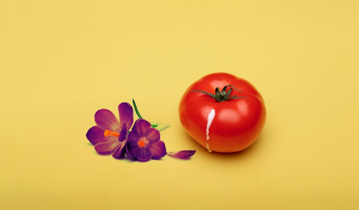 red tomato beside red flower