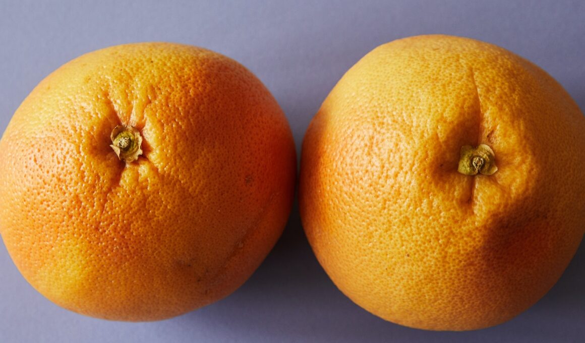 From above pair of ripe juicy oranges placed on light purple background in studio