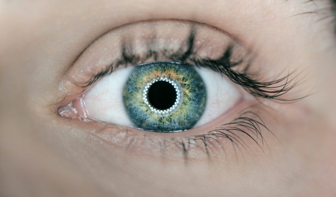 person showing green and black eyelid closeup photography