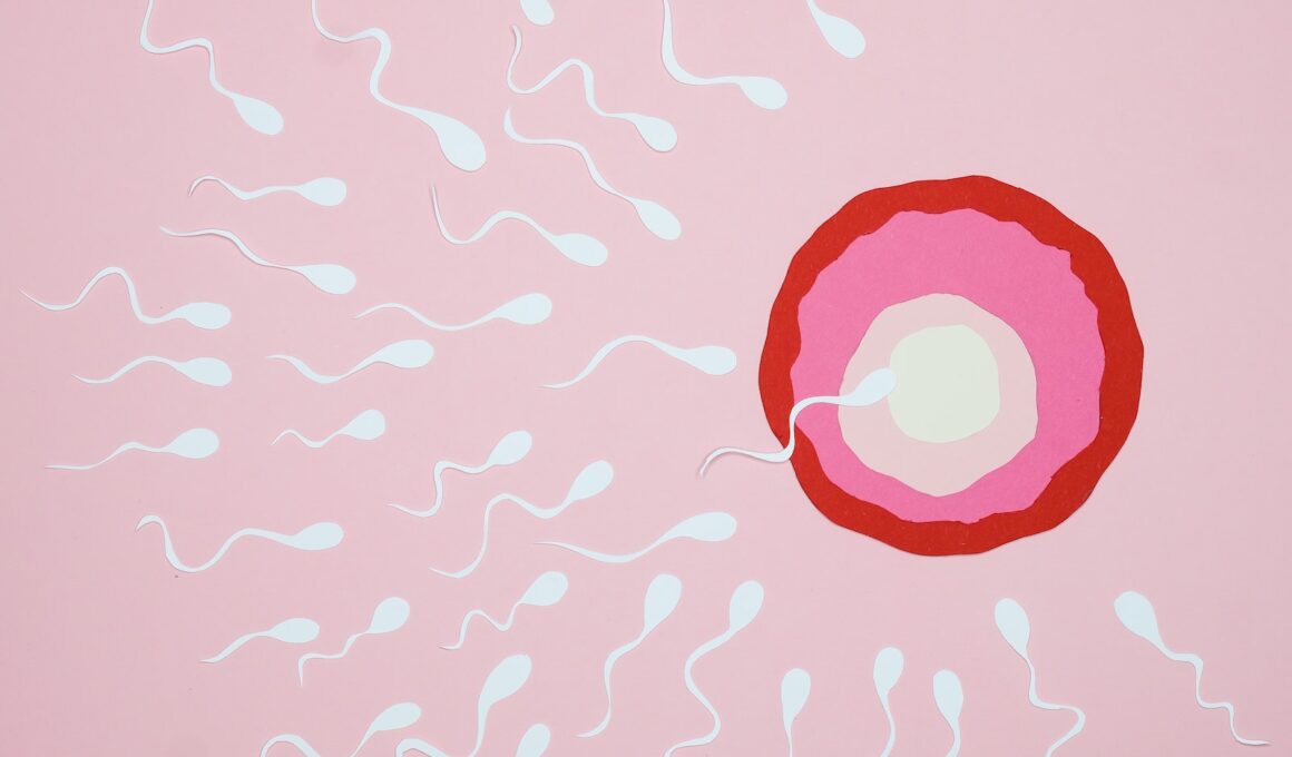 An Illustration of Fertilization