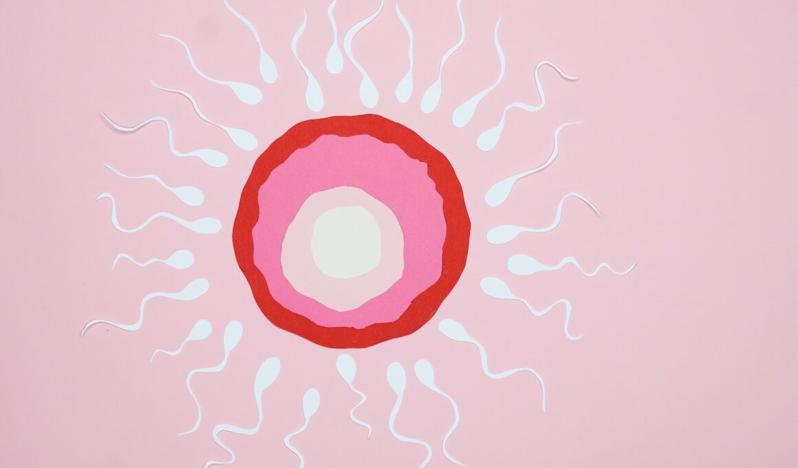 Paper Cutouts Illustration of Fertilization