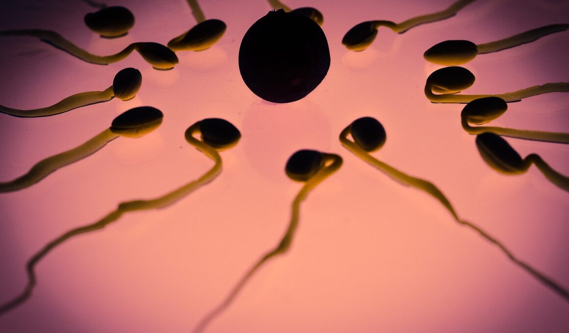 sperm, egg cell, fertilization