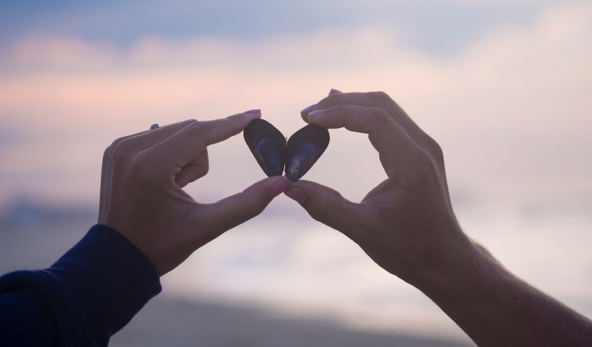 person holding black stones