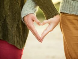 person forming heart shape with their hands