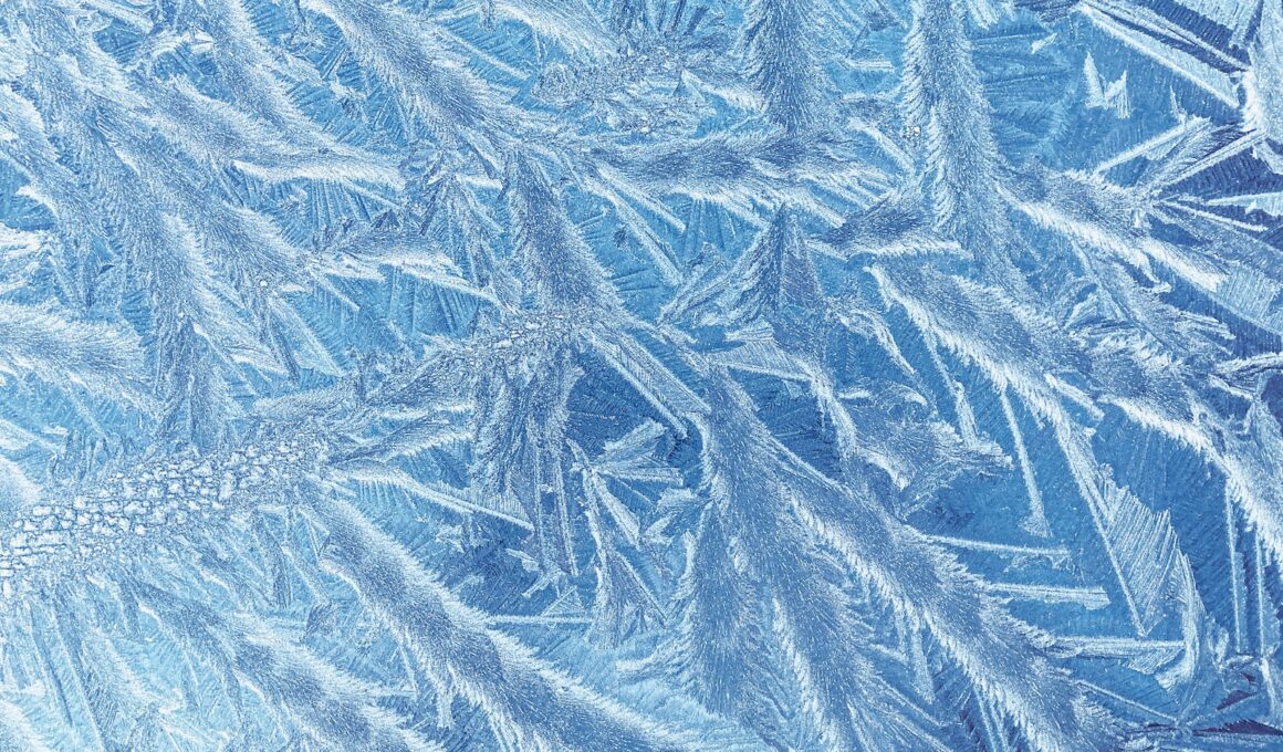 a close up of ice crystals on a window