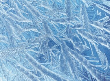 a close up of ice crystals on a window