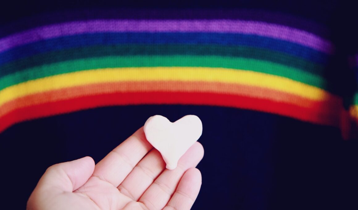 person holding white heart shaped ornament