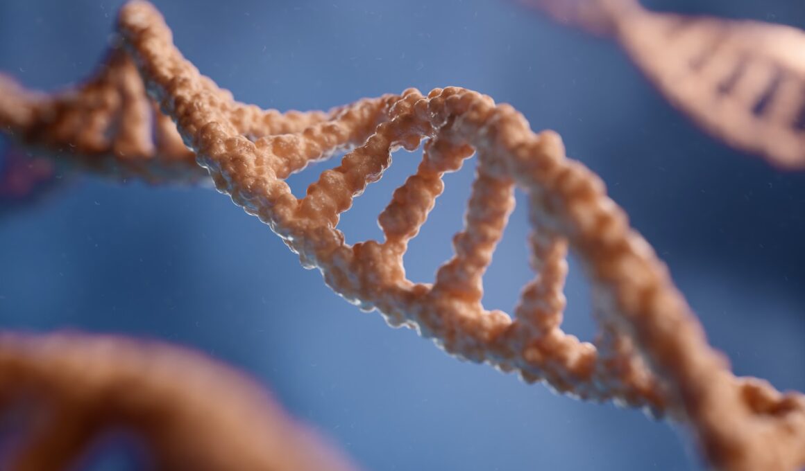 a close up of a single strand of food