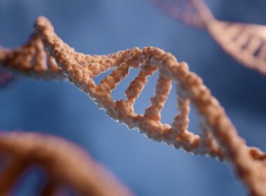 a close up of a single strand of food